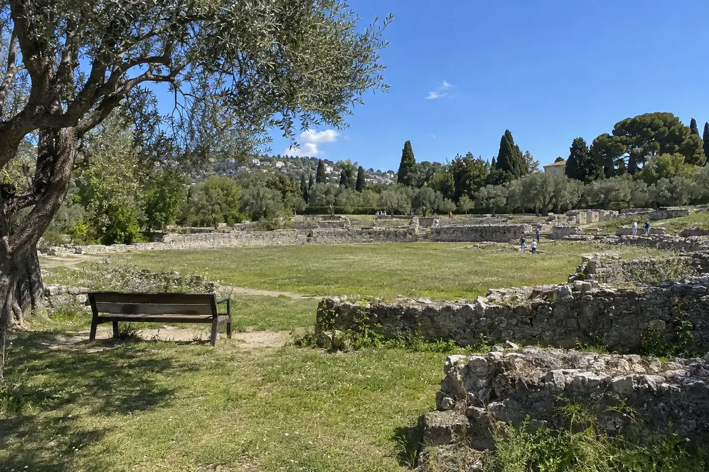 Les vestiges des arènes romaines de Cimiez au milieu des oliviers, à Nice